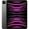 Apple iPad Pro 11" (2022) 256GB WiFi + Cellular