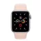 Apple Watch Series 5 40mm GPS+Cellular Aluminum Case