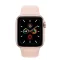 Apple Watch Series 5 44mm GPS+Cellular Aluminum Case
